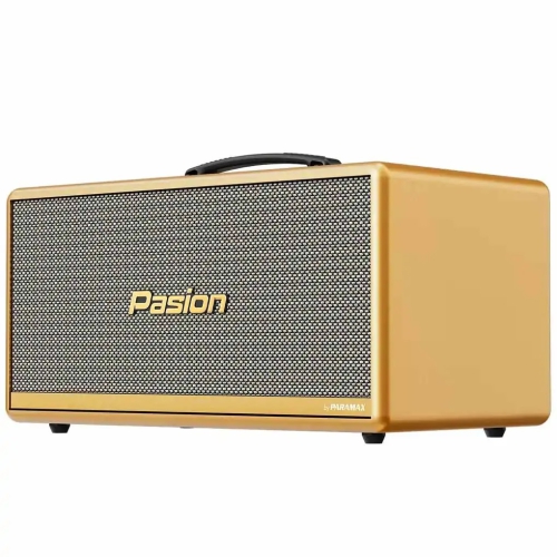 Loa Di Động Xách Tay Paramax PASION 2c 