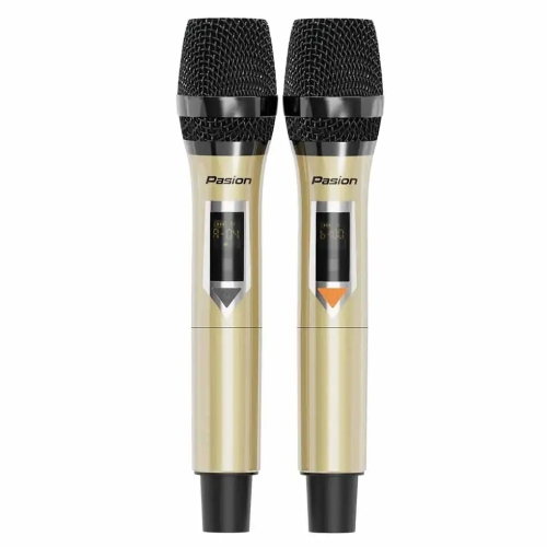 Loa Di Động Xách Tay Paramax PASION 2c 